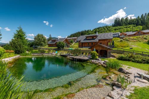 a house with a pond in the yard at Chalet Dachsteinblick in Pruggern