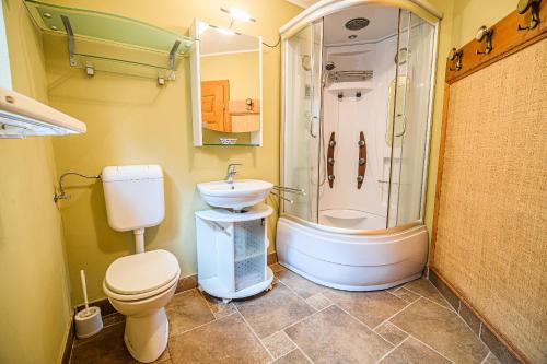 uma casa de banho com um chuveiro, um WC e um lavatório. em ECO Tourist Farm Kostanje em Sevnica