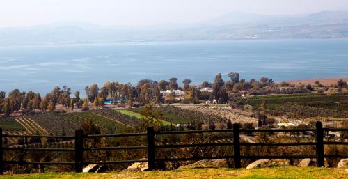 a view from the hillside of a vineyard and the water at Kinar Galilee in Kinar