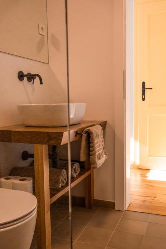 a bathroom with a sink and a toilet at Kotič na hribu in Dobravlje
