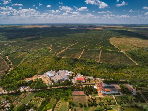 an aerial view of a field with a farm at Chateau Purcari in Purcari
