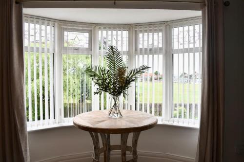 uma mesa com uma planta na frente de uma janela em 2 Bedroom Apartment in Gateshead em Gateshead