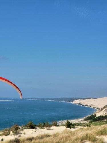 Au bord de l'eau rend la vie à Arcachon