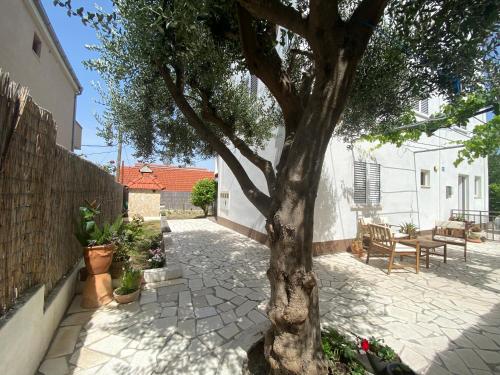 a tree sitting on a sidewalk next to a building at Apartment Olive in Split