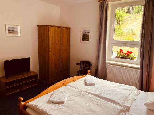 a bedroom with a bed and a window at Chata U Skota in Janov nad Nisou