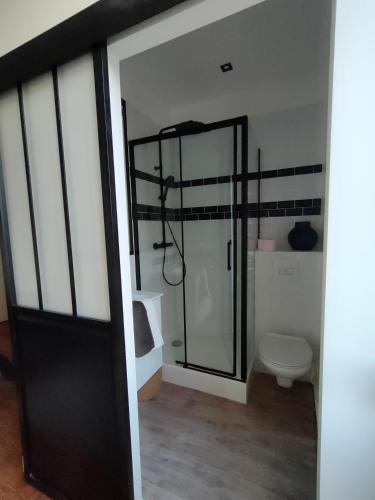 a bathroom with a shower and a toilet in a room at L' Embellie sur Lot in Sainte-Livrade-sur-Lot