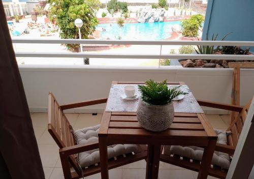 uma mesa com um vaso de plantas em cima de um quarto com uma janela em LEON DEL SUR em San Miguel de Abona