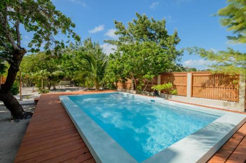 a swimming pool in a backyard with trees at Suite 3 at Island Pearl Gold Standard Certified in Caye Caulker