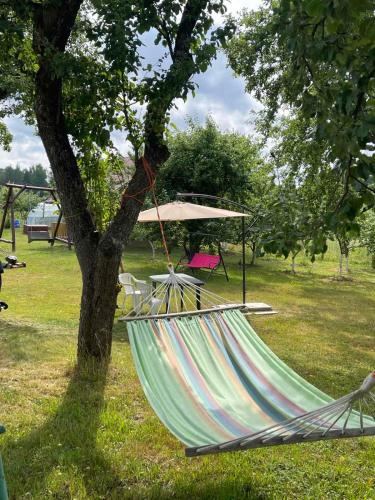 a hammock tied to a tree in a park at Česlovos sodyba in Zarasai