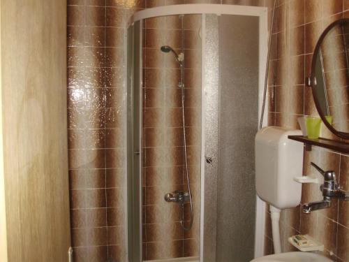 a shower with a glass door in a bathroom at Apartments Draga Žaborić in Zaboric