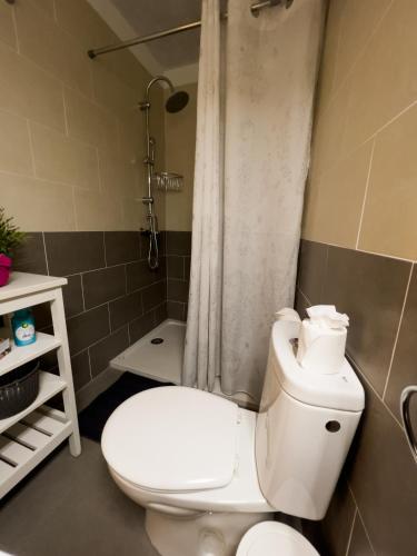 a bathroom with a white toilet and a shower at Apartamentos Mesa in Valle Gran Rey
