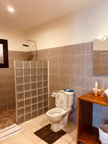 a bathroom with a toilet and a shower at Villa Assinie Bord de Lagune in Assinie