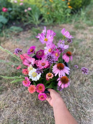 a person holding a bouquet of pink and purple flowers at Apartmány Mikulčice in Mikulčice