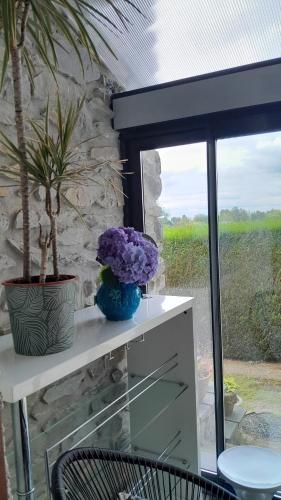 une étagère blanche avec des fleurs violettes à côté d'une fenêtre dans l'établissement Liloye, à Bagnères-de-Bigorre