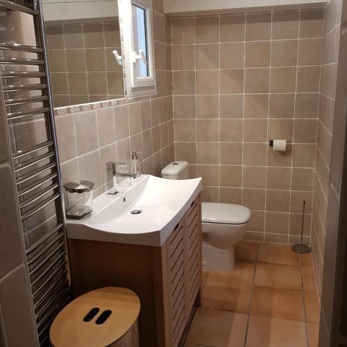 une salle de bain avec un lavabo, des toilettes et un miroir dans l'établissement Petite Villa indépendante - Grande piscine 12x8, à Carqueiranne