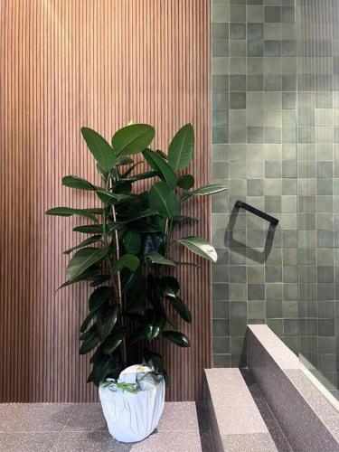 Loft 206 – Foton 4