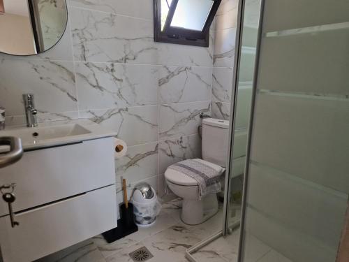 a bathroom with a toilet and a sink and a shower at On the wave studios Spitakia sto kyma in Nikiti