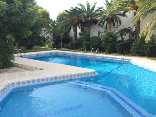 a large blue swimming pool with palm trees at TRES CARABELAS 249 in Alcossebre