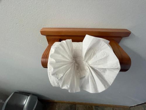 a roll of toilet paper hanging on a wall at Aloegrove Safari Lodge in Otjiwarongo