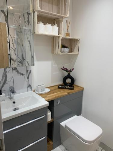 bagno con lavandino e servizi igienici di 51 Innes Street Apartment a Inverness