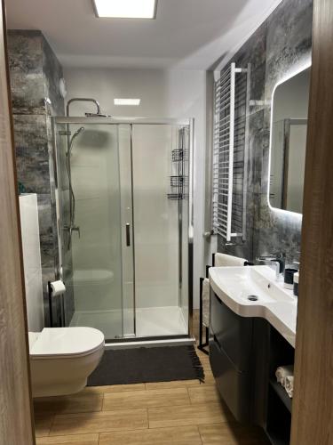 een badkamer met een douche, een toilet en een wastafel bij Apartament Szmaragdowy. in Siedlce