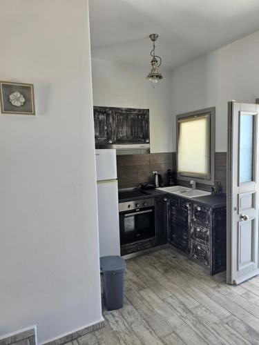 a kitchen with a sink and a counter top at Aegean Muses in Lipsoi