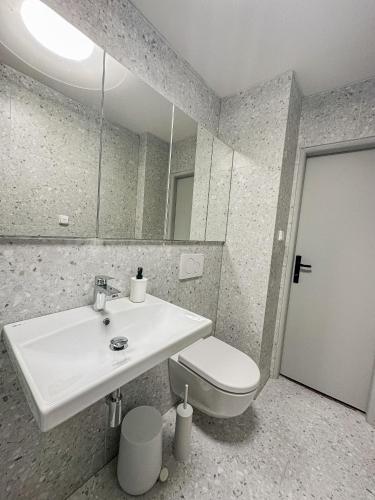 a bathroom with a sink and a toilet and a mirror at Chalupa Morava in Veselí nad Moravou