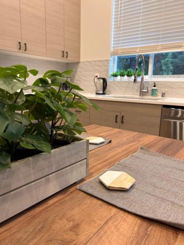 a kitchen with a potted plant on a wooden table at Cozy and Adorable Tiny House - Near PDX! in Vancouver