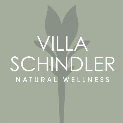 Fotografie z fotogalerie ubytování Villa Schindler v destinaci Manerba del Garda