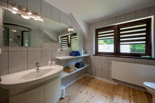 a bathroom with a sink and a mirror at Górskie Klimaty in Kletno