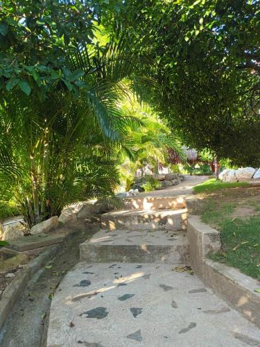Finca de Nosotrosにある庭
