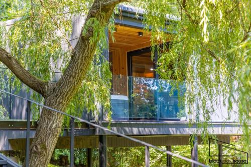 a house with a tree in front of it at Blackbox House Noszvaj in Noszvaj