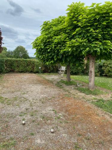 a large green tree sitting next to a field at La Clé des Champs in Jodoigne