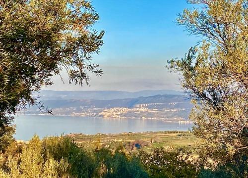 einen Blick auf einen See von zwei Bäumen in der Unterkunft Casa Ruris - Country residence in Briatico