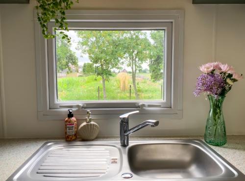 a kitchen sink with a window and a vase of flowers at Het Hoefje in Sint Annaland
