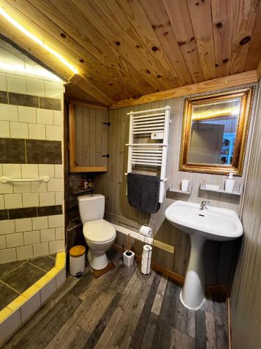 uma casa de banho com um WC e um lavatório em Le Petit Gîte des Lys em Monségur