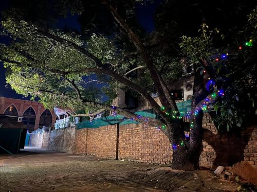 a tree with christmas lights on it at night at Casa Bravo - Pilgrims Palace in Pretoria