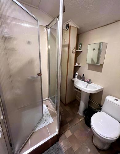 ein Bad mit einer Dusche, einem WC und einem Waschbecken in der Unterkunft Retro bungalow in Liepāja