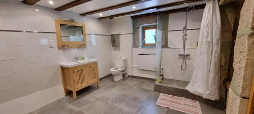 W łazience znajduje się toaleta, umywalka i prysznic. w obiekcie Au vieux four à pain - Studio à louer w mieście Chevry