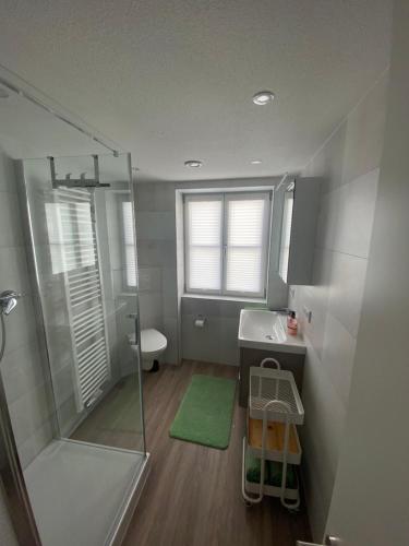 un baño con ducha y lavabo en Trendy Appartement im Zentrum von Nördlingen 50 qm, en Nördlingen