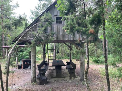 a tree house with a picnic table in the woods at Nugise onn in Pallasmaa