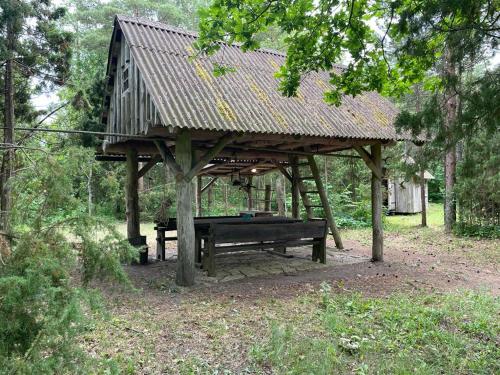 a wooden pavilion with a picnic table in the woods at Nugise onn in Pallasmaa