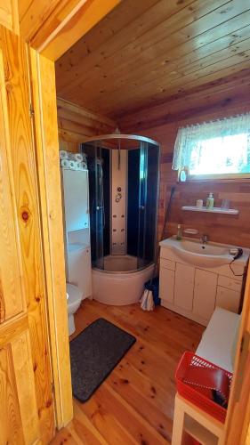 a bathroom with a shower and a sink and a toilet at Domek drewniany u Grażynki in Kopalino