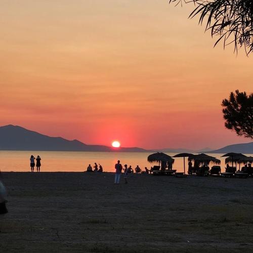 a group of people on the beach at sunset at Apartments Papadioti in Pefki
