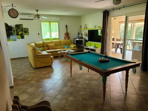 un salon avec une table de billard dans l'établissement Villa les pieds dans l'eau, à Le Pont du Travo
