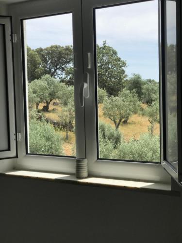 Φωτογραφία από το άλμπουμ του Casa 1-Quinta dos Penedos σε Portalegre