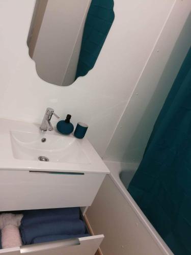 La salle de bains est pourvue d'un lavabo et d'un rideau de douche bleu. dans l'établissement Bel appartement familial, à Cenon