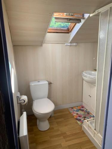 a small bathroom with a toilet and a sink at Joli appartement dans une maison ancienne in Ax-les-Thermes