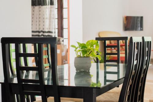 two chairs and a glass table with a plant on it at Marette Holiday Bungalow in Moratuwa