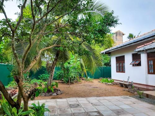 a tree in a yard next to a house at Marette Holiday Bungalow in Moratuwa
